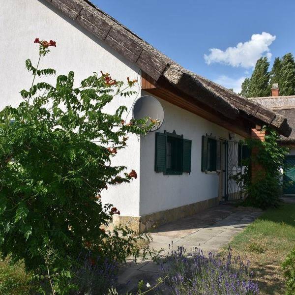 Boróka Tanya Vila Orgovany Exterior foto